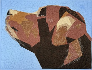 Kurs 5-26-1: Hundeblick