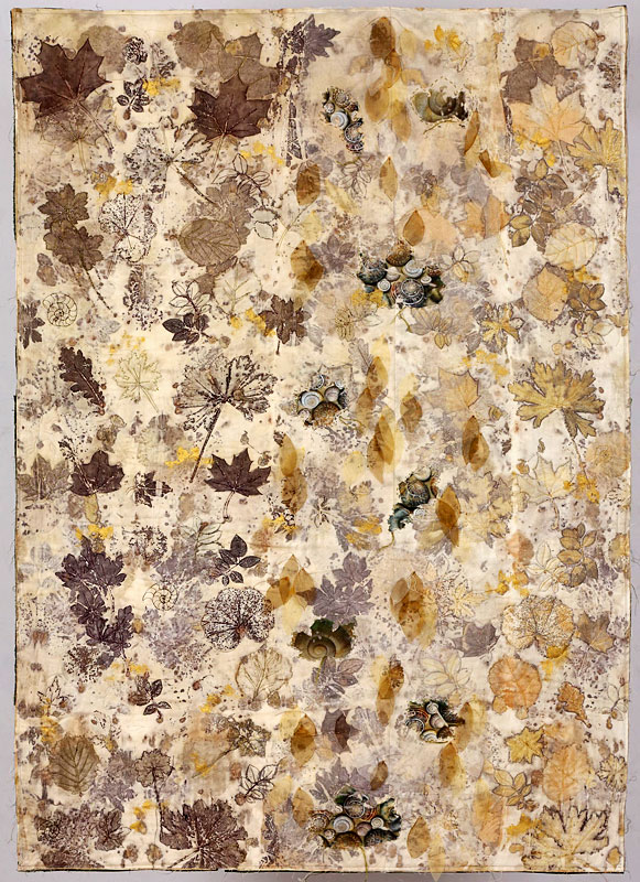 Dagmar Bayer: Nature II