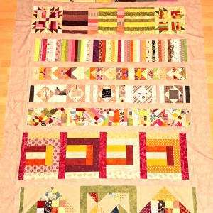 Petra Schwarz-Nicolai