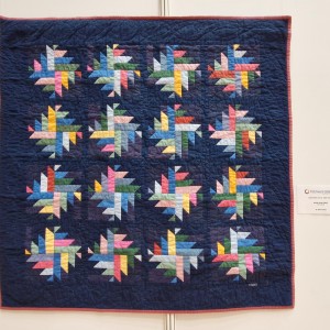 Blick in die Ausstellung - Lebenswerk von Dr. Ellen Thoma