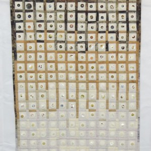 Diversität - Andrea Dittrich-Ohm