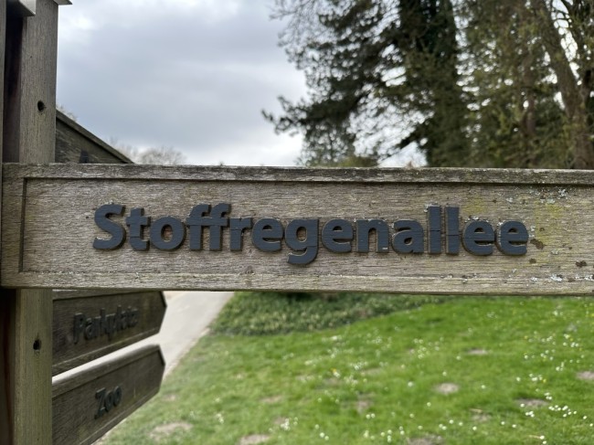 Stoffregenallee im Rombergpark in Dortmund